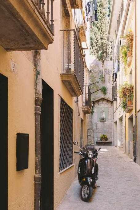 Velo Vern 3 Luxury Penthouse W Views Of * Gerona